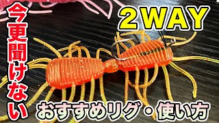 【バス釣り】2wayの使い方やおすすめリグ!!アクションや動かし方のコツについて解説してみた【FISHROLLER 3inch/4inch 】【FINESTICK3.5inch】【レイドジャパン】