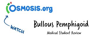 Bullous Pemphigoid: Osmosis Study Video screenshot 2