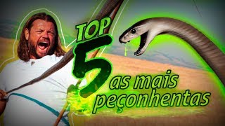 AS 5 SERPENTES MAIS PEÇONHENTAS DO MUNDO! | RICHARD RASMUSSEN