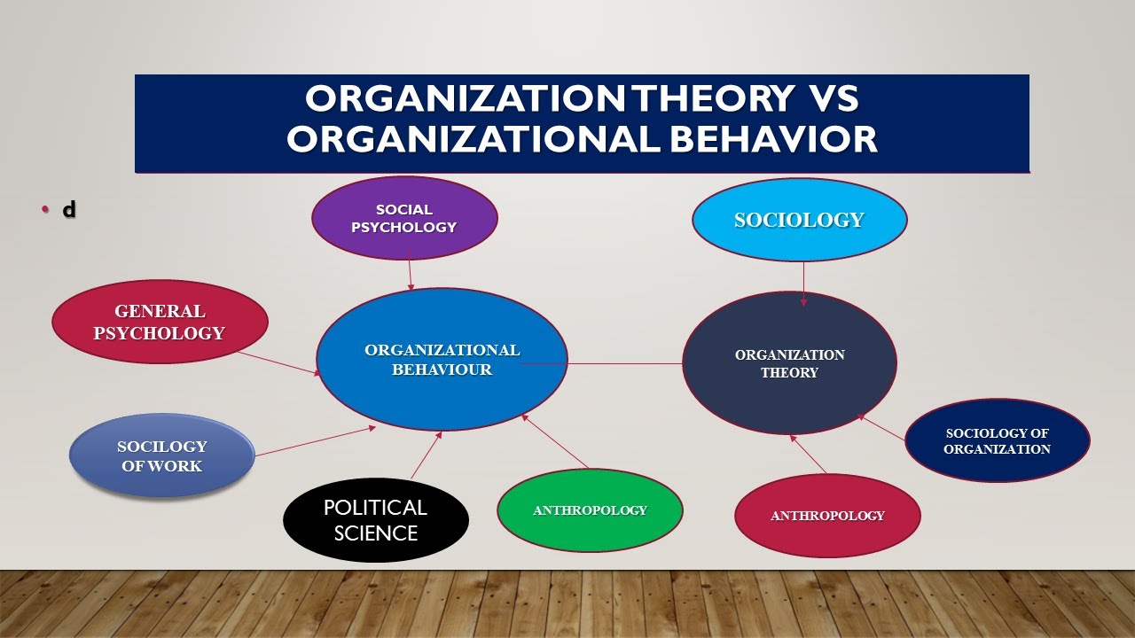 executive phd organizational behavior