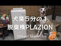 #57 さよなら犬臭、我が家の臭い対策！ペット用脱臭機,Fujitsu PLAZION