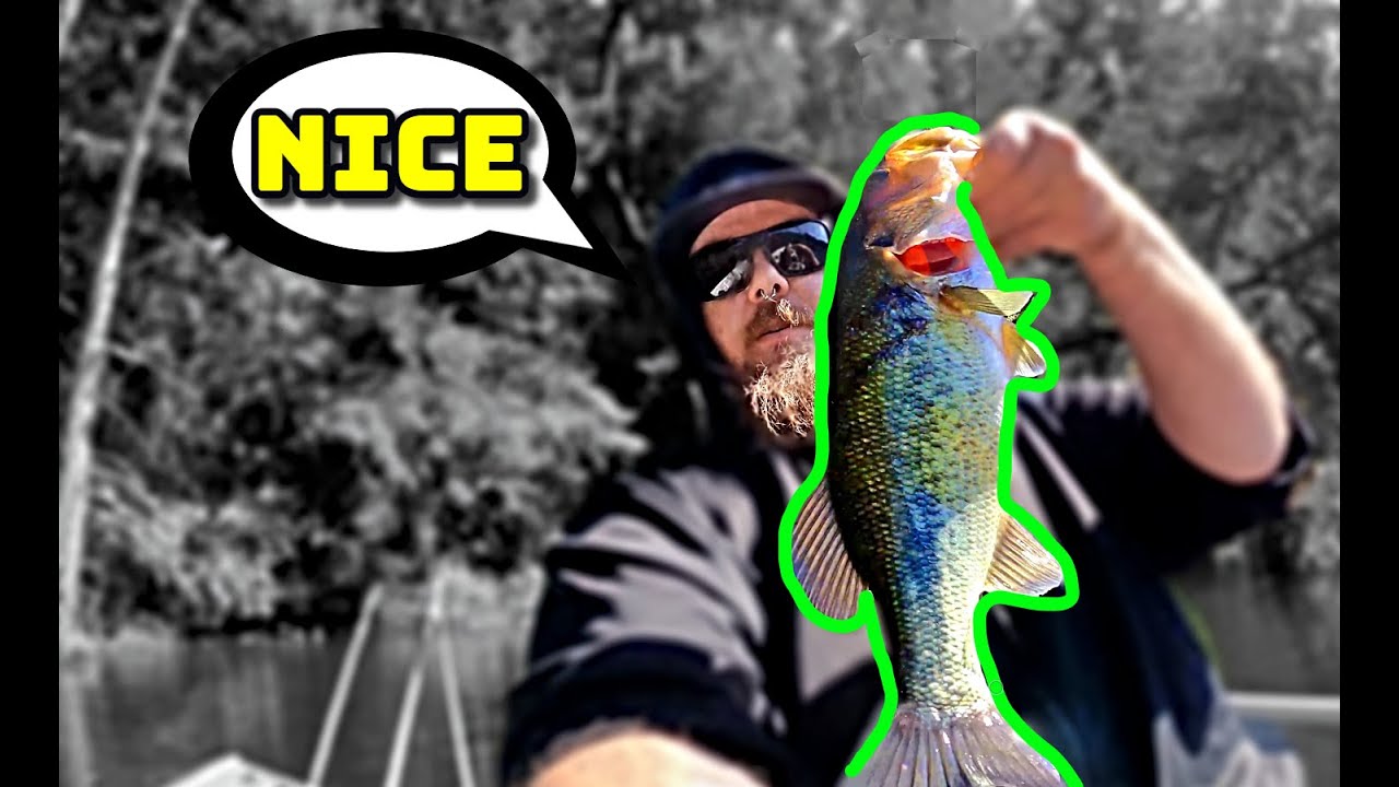 Flippin and Rippin (May Bass Fishing)