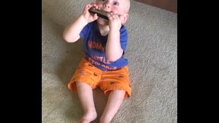 Baby Plays The Harmonica screenshot 3