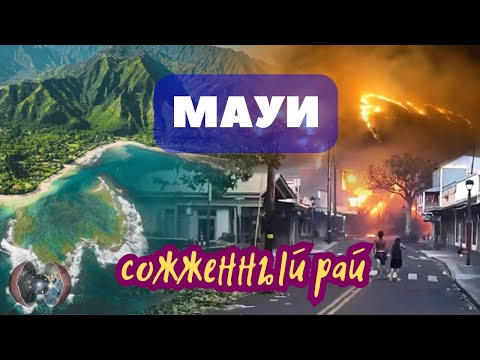 Кто и зачем сжег Лахайну?