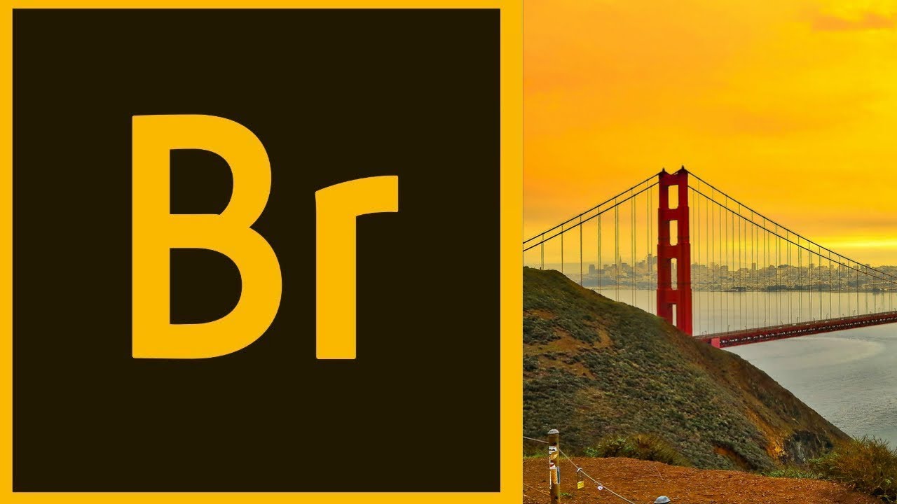 Adobe Bridge CC 2019 СКАЧАТЬ + УСТАНОВКА - YouTube