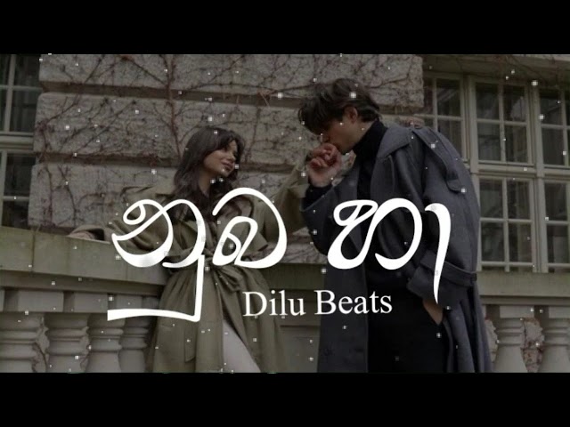DILU Beats  Numba Ha (නුඹ හා)(slowed+reverb) Hight quality class=