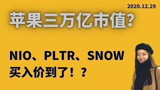 苹果股价持续利好，冲击三万亿? 利空特斯拉?  NIO, PLTR, SNOW 到买入价了吗？aapl 造车?