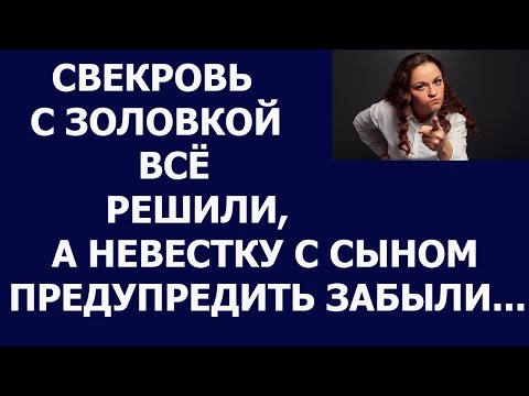 Истории из жизни Свекровь с золовкой всё решили, а невестку и сына предупредить