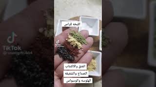 صبخة الراس للصداع والشقيقه وتنسيم الراس والفتق والوشره والاكتئاب??