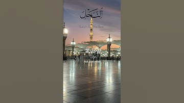 قران كريم 🌿 / #سورة_النحل  #خالد_الجليل  #quran #foryou #explore  #fyp