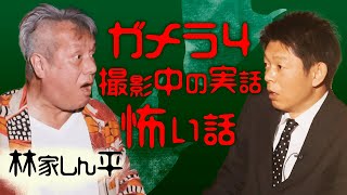 【林家しん平③】ガメラ４の撮影中に起きた怖い話『島田秀平のお怪談巡り』