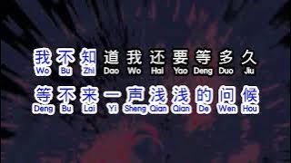 雨中百合   《 花落一春又一秋 》  hua luo yi chun you yi qiu