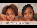 HOW TO: Mini Twists on thin natural hair | Melanin Haircare | Aiyanna Bree