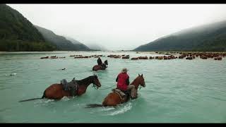 Arawhata Muster West Coast New Zealand