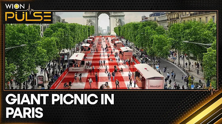 Paris: Thousands of people take part in free picnic on the Champs-Élysées | WION Pulse - DayDayNews
