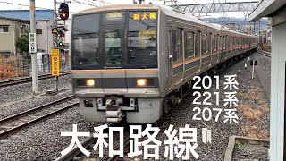 【電車】 JR西日本 大和路線 柏原駅 久宝寺駅 ウォッチング JR West Yamatoji Line Kashiwara & Kyuhoji Station Watching