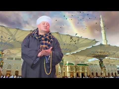 الشيخ أيمن هريدي تمكن مني الحب