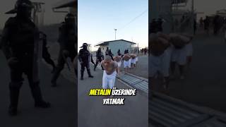 Cehenneme Açılan Kapı: Suçlular İçin Kaçışsız Hapishane ⛓️🔒 Resimi