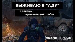 СТАЛКЕР ОНЛАЙН EU1 |Stay Out| В ПОИСКАХ ВУЛКАНИЧЕСКИХ ГРИБОВ