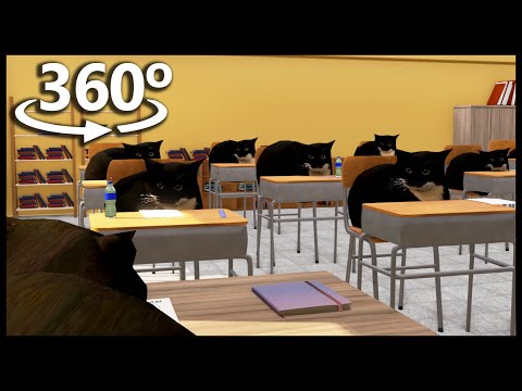 360° School Exam With Maxwell The Cats In Vr4K