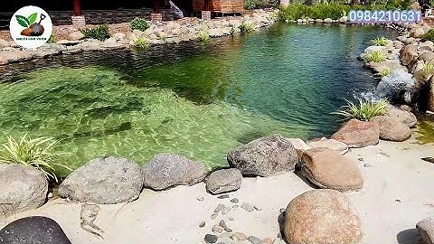 Thi công Hồ Bơi sinh thái lót bạt tại Lộc Ninh - Bình Phước