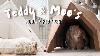 Rabbit Playpen and Room Tour! (July 2022) | Teddy & Moo