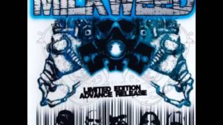 Milkweed - Expendable