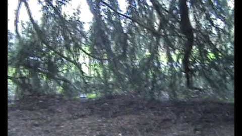 Learning Beyond the Classroom Introduction video to Kew Gardens.wmv