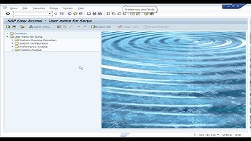 How to view all users in sap
