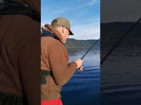 Ørretfiske på Mjøsa