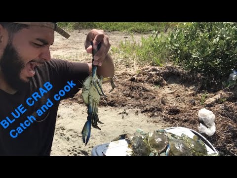 DIY Crab Trap(BLUE CRAB COOK) - YouTube