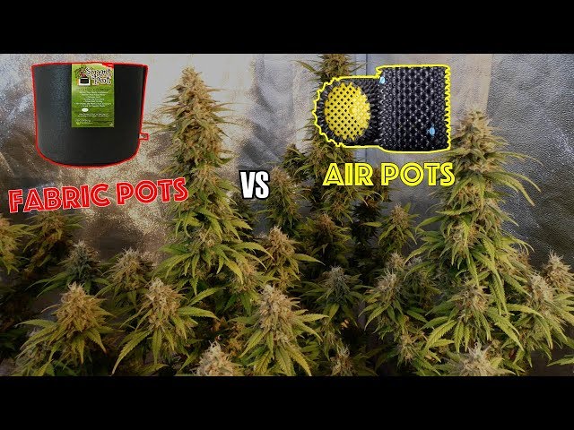 5 Benefits of Using Air Pots