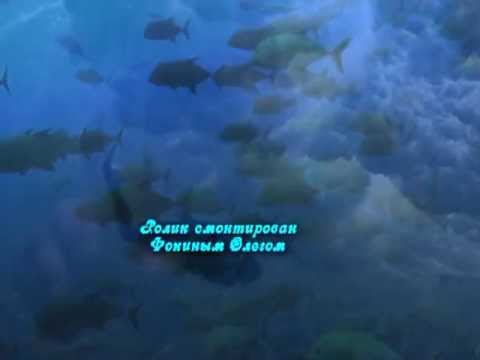 Gallery of Dreams( Иван Пилипенко и Олег Фокин) -King Of The Sea