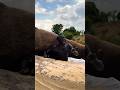 اشهد ان محمدا رسول الله اشهد ان محمدا رسول الله