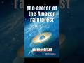 The crater of the Amazon Rainforest