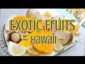 Exotic Fruits of Hawaii - Abiu, Surinam Cherry, Velvet Apple, Longan, Sweetsop, Peanut Butter Fruit!