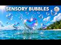 Calming Heart Bubbles &amp; Relaxing Music for Classroom Concentration &amp; Emotional Balance Mp3 Song