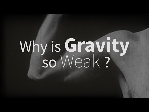 Why is gravity so weak? with Adam Archibald