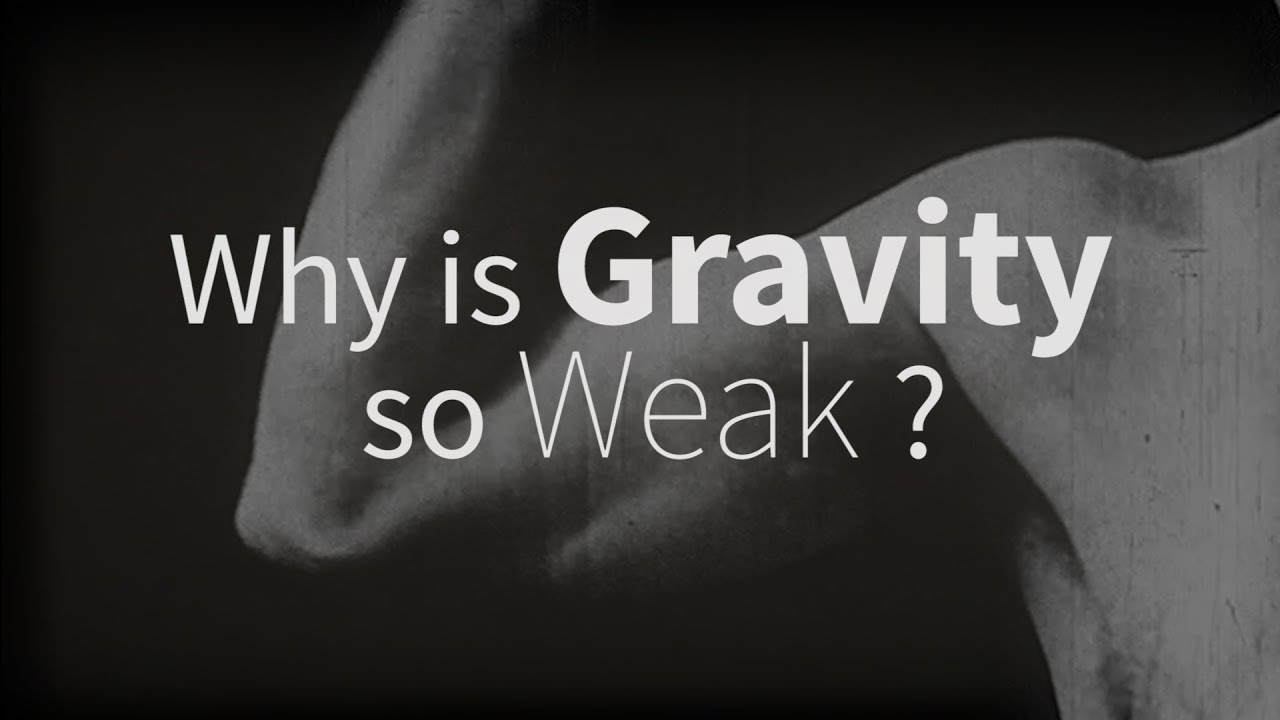 Why is gravity so weak? with Adam Archibald | Washington ...