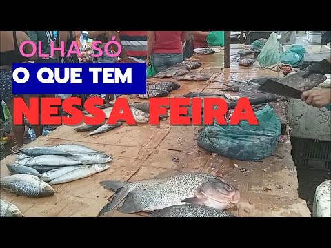 feira livre de