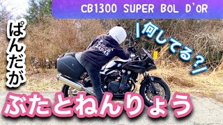 バイク走行前点検のお茶目な一面！パンダヘルメットの女子