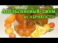 апельсиновый джем из абрикос. рецепт. на зиму.