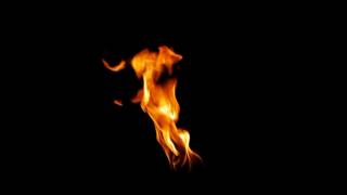 Essensial Torch Windy 01