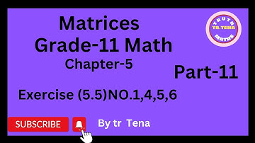 Grade11 maths chapter5, matrices, exercise(5.5) No.1, 4, 5, 6, tena