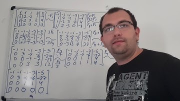 Método de Gauss 4x4. Sistema Compatible Indeterminado 1