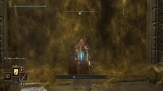 ELDEN RING - Beast Clergyman / Maliketh The Blade Black Cheese / Easy Kill