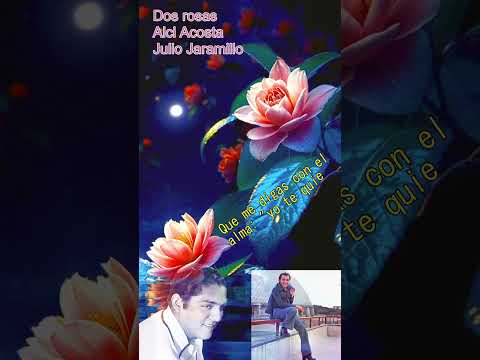 DOS ROSAS ALCI