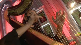 Erhan Shukri, Denizlere. Arco string chamber orchestra. Mersiha Shukri-harp