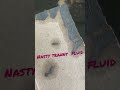 Nasty transmission fluid #shorts