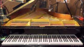 Fine by Lemon Demon | Player Piano Arrangement